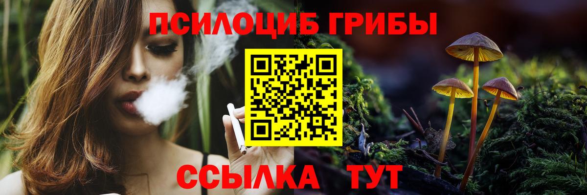 Галлюциногенные грибы MAGIC MUSHROOMS  Вход с VPN  Псилоцибиновые грибы Psilocybe  Киселёвск 